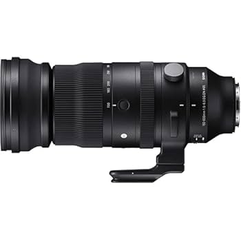 SIGMA - シグマ 150-600mm F5-6.3 DG DN OS Sports SIGMA 150-600mm F5-6.3 DG DN OS | Sports | SIGMA Corporation